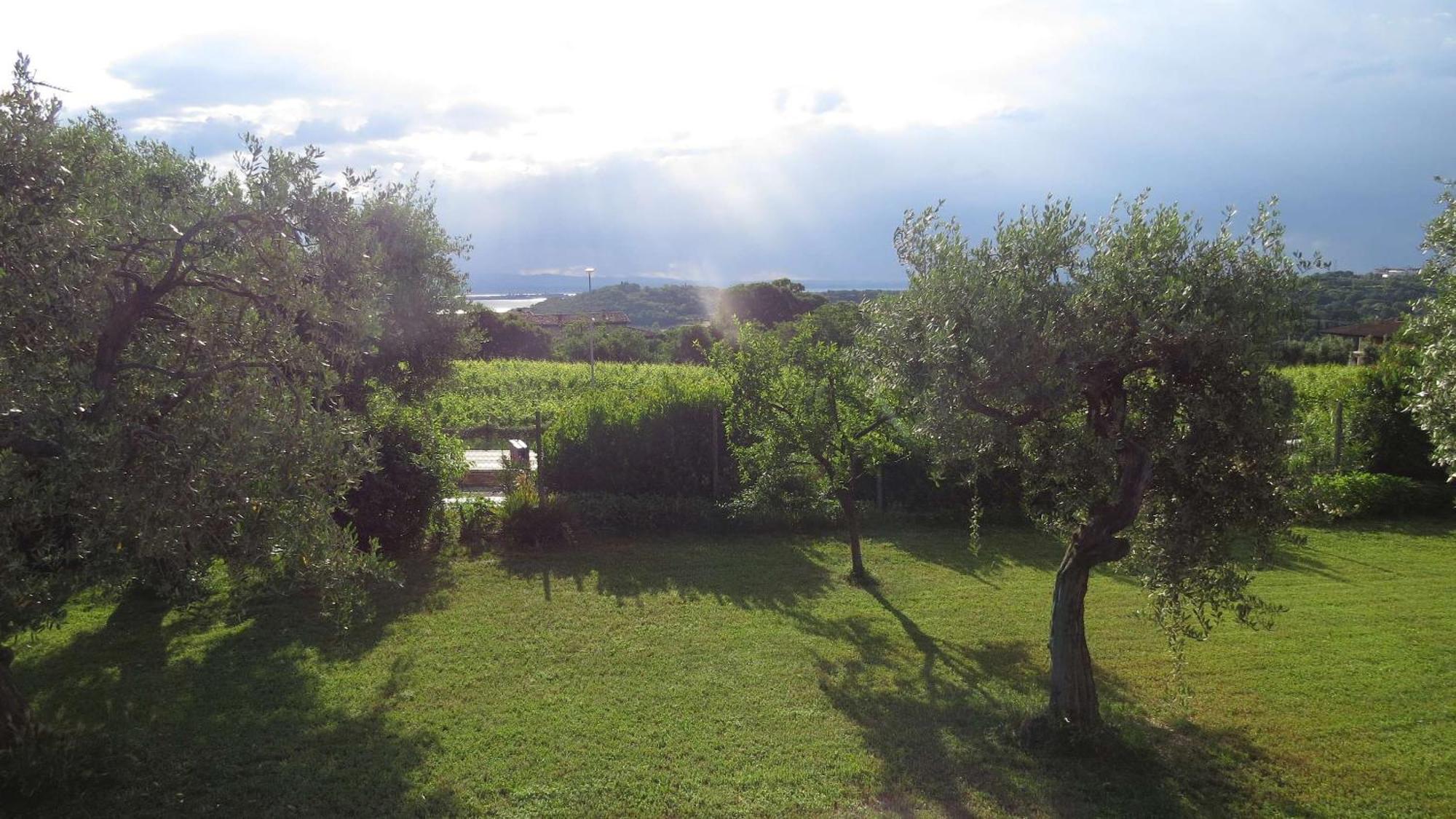 Il Gelso Di Barcuzzi Bed & Breakfast Lonato Exterior photo