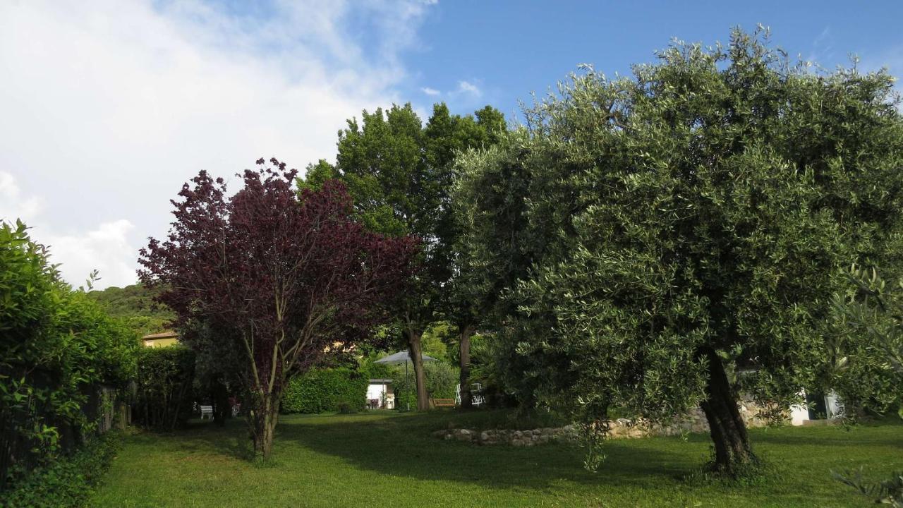 Il Gelso Di Barcuzzi Bed & Breakfast Lonato Exterior photo